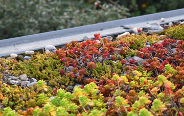 the cost of Velator green roof installation
