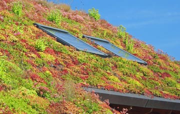 Velator living roof systems