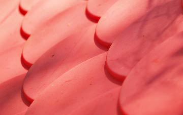 Velator plastic roof costs