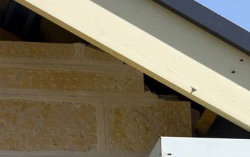 soffit repair Velator