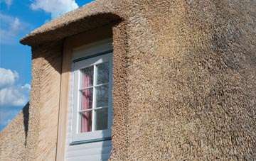 Velator thatch roof disadvantages